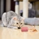 thumbnail image 3 of Juguete Para Gato Cilindro Fibra Natural 4cm, 3 of 3