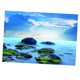 thumbnail image 1 of Adhesivo Para Tanque De Peces, Decoración De Fondo Adhesivo De PVC Para Acuario, 1 Unidad M, 1 of 5