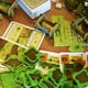 thumbnail image 4 of Juego de mesa Lookout Agricola Farmers of The Moor Expansion, 4 of 4