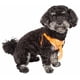 thumbnail image 3 of Arnés para Perro y Corbatín Pet Life® 'Bonatied' de Malla, 3 of 8
