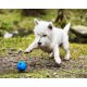 thumbnail image 4 of Juguete para perros Chuckit! Crunch Ball de tamaño mediano (paquete de 2), 4 of 6