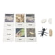 thumbnail image 2 of Juego Educativo Ciclo De Vida Animal Nishiyuenyi, 2 of 5