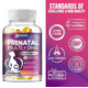 thumbnail image 3 of Suplemento Para Embarazadas Prenatal Multi + Dha 120 Gelcaps, 3 of 6