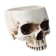 thumbnail image 4 of Maceta De Hormigón Con Forma De Calavera De Halloween Para Bricolaje, 4 of 5