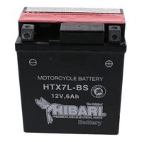 Genérico - Bateria De Moto Para Motorrad Nt 25 - Xmm 250