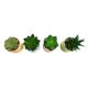 thumbnail image 3 of Planta Artificial Suculenta 13 cm Producto Surtido, 3 of 4