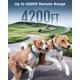 thumbnail image 3 of Collar de entrenamiento Jugbow 4200 pies para 2 perros – control remoto, 3 of 7