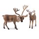 thumbnail image 4 of Figuras de animales norteamericanos Terra de Battat - Set de 6 piezas, 4 of 9
