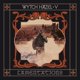 thumbnail image 1 of Vinilo V: Lamentations The Orchard, 1 of 1