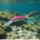thumbnail image 2 of Storm Deep Thunder 11 cm 28 g – Señuelo Trollin Color Rosa Puntos, 2 of 3