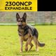 thumbnail image 5 of Collar para perro Dogtra 2300NCP 3/4 de milla, expandible para 2 perros, 5 of 6