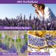 thumbnail image 3 of Kit De Flores Secas 100% Natural Para Hacer Velas De Jabón, 3 of 7
