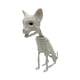 thumbnail image 1 of Estatua De Esqueleto De Animal De Halloween, Decoración Aterradora Para El Hogar, Centro De Mesa, Fiesta, Gato Civeta, 1 of 3