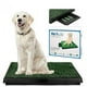thumbnail image 1 of Baño para Mascotas XXL Pet Potty, 1 of 5