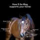 thumbnail image 2 of Suplemento para Animales MVP E-SE-MAG 4,5 kg Recuperación Muscular, 2 of 7