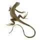 thumbnail image 2 of Simulación Animal Modelo Juguetes Educativos Para Ni?os Lagarto Pl127 1334, 2 of 5