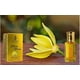 thumbnail image 2 of Perfume Concentrado SCUS Ylang Ylang Floral 12 ml, 2 of 6