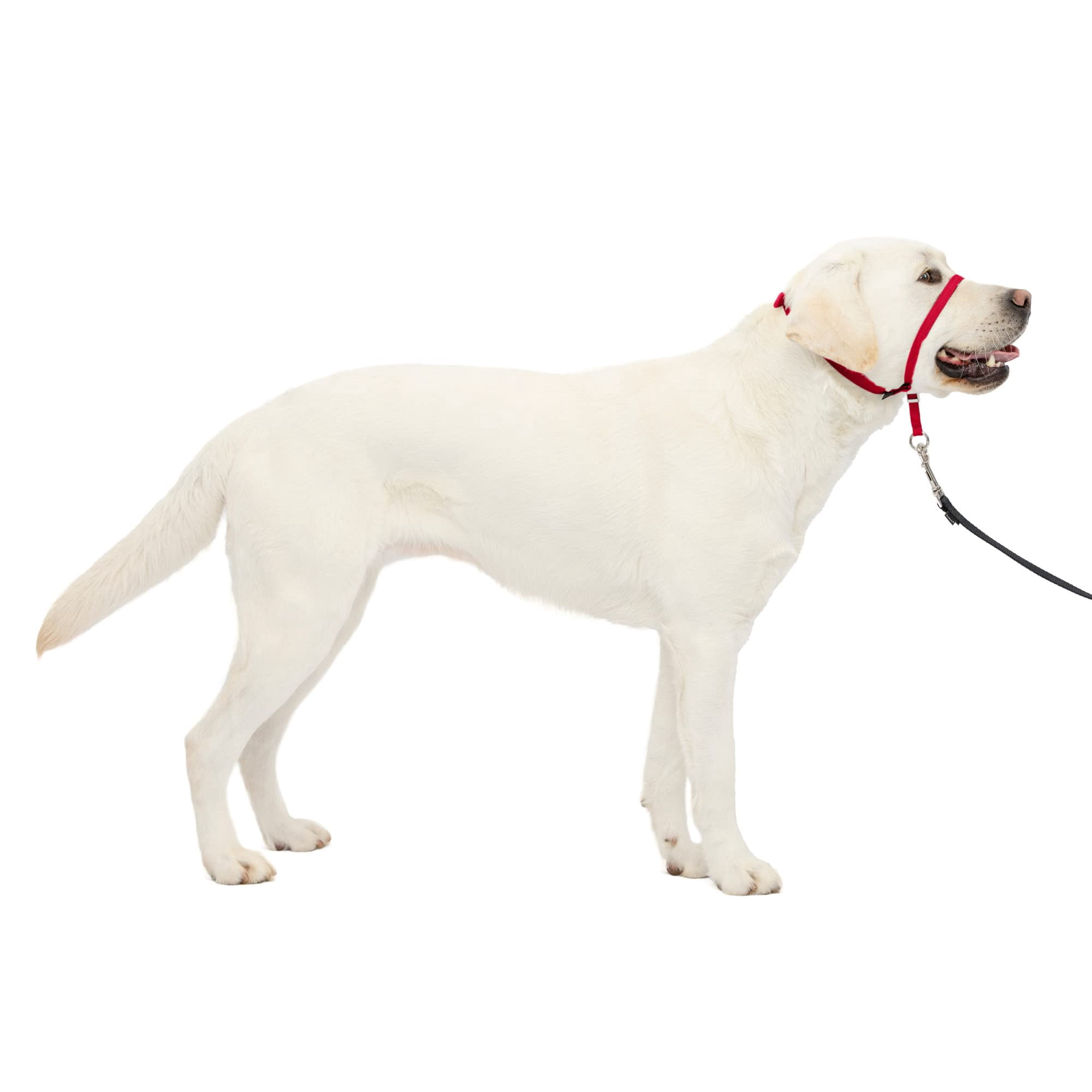 Collar Para Perro Petsafe Gentle Leader No-pull, Grande, Rojo