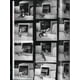 thumbnail image 2 of Walter Chandoha. Cats. Photographs 1942–2018 - Taschen, 2 of 6