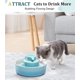 thumbnail image 4 of Fuente de Agua para Gatos NautyPaws 2,1 L Azul Cielo con Filtros de Carbón y Espuma, 4 of 6