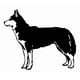 thumbnail image 1 of Decomural Husky Portrait Dog Wall Art WS-34703, 1 of 2