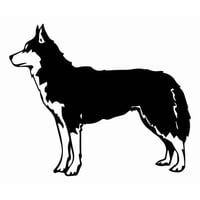 Rienda Libre Graphics - Decomural Husky Portrait Dog Wall Art Ws-34703