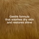 thumbnail image 3 of Shampoo Antipulgas Y Antigarrapatas Plus 473 Ml Para Mascotas, 3 of 9
