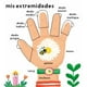 thumbnail image 4 of Mi cuerpo. Mis primeras 100 palabras, 4 of 8