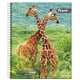 thumbnail image 2 of Cuaderno Universitario Fauna 100 Hojas  / Producto surtido, 1 Un, 2 of 9