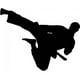 thumbnail image 1 of Decomural Karate Kick Martial Arts WS-18758, 1 of 2