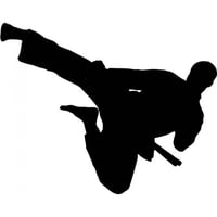 Rienda Libre Graphics - Decomural Karate Kick Martial Arts Ws-18758