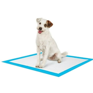 Megamart - 50 Sabanilla Entrenamiento Mascota Perro Y Gato M 45Cmx60Cm 10038