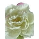 thumbnail image 2 of Peonia Blanca 45cm Con Acabado Natural, 2 of 3