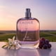 thumbnail image 2 of Perfume Caudalie Ange des Vignes Fragancia Ligera 50 ml, 2 of 6