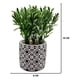 thumbnail image 3 of Planta Artificial Macetero Cerámica Vintage Flores Verdes, 3 of 4