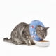 thumbnail image 1 of Collar Isabelino Suave Ajustables Talla S Mod 8, 1 of 3