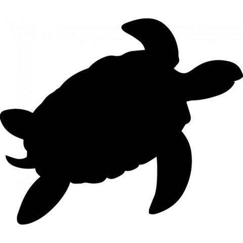 Rienda Libre Graphics - Decomural Turtle Under The Sea Pack Ws-33233