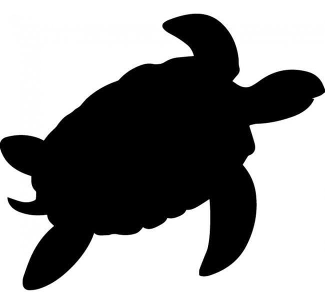 Rienda Libre Graphics - Decomural Turtle Under The Sea Pack Ws-33233