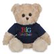 thumbnail image 1 of Oso de peluche Bearington Big Buddy de peluche Big Brother de 30 cm, 1 of 6
