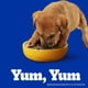 thumbnail image 3 of Alimento para Perro Cachorro Bolsa Carne, 15 Kg, 3 of 10