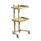 thumbnail image 1 of Carro Con Bandeja Rodante Para Salón, Organizador De Estilista, Para Salones, Estudios, Peluquero, Dorado, 1 of 5