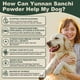 thumbnail image 4 of Suplemento Yunnan Sanqi En Polvo 99 G Para Perros, 4 of 5