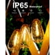 thumbnail image 4 of Luces de cadena DELITOR 15,24 m LED impermeables regulables, 4 of 9