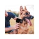 thumbnail image 5 of Rasqueta Cepillo para Perros y Gatos Pelo Suelto negro, 5 of 7