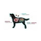 thumbnail image 2 of Simparica Trio Antiparasitario Interno Y Externo 10 A 20 Kg 3 Comp, 2 of 2