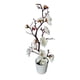 thumbnail image 2 of Bonsái De Flores Artificiales Con Flores Secas En Maceta Para Mesa De Comedor Navide?a Y Chimenea Blanca, 2 of 5