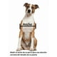 thumbnail image 3 of Puerta de perro Mediana para Climas Extremos PetSafe, 3 of 5
