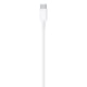thumbnail image 4 of Cable Lightning A Usb-C 2.0 Mt, 4 of 4