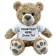thumbnail image 1 of Oso de Peluche Messenger Bear 36 cm Regalo Personalizado, 1 of 6
