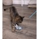 thumbnail image 3 of Juguete Interactivo Para Gato SmartyKat Frisky Flyer Extensible, 3 of 3